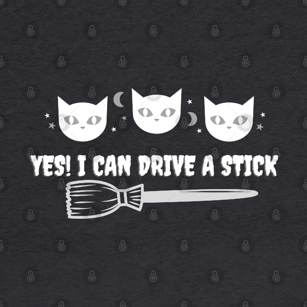 Yes! I Can Drive  A Stick by Kachanan@BoonyaShop